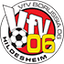 VfV Hildesheim logo