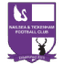 Nailsea & Tickenham logo