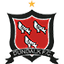 Dundalk logo