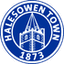 Halesowen logo