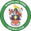 Burgess Hill Town logo
