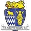 St Neots Town logo