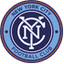 home team logo