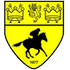Newmarket Town