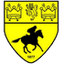 Newmarket Town logo