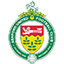 Ashford United logo