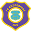 Erzgebirge Aue logo
