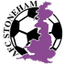 AFC Stoneham logo