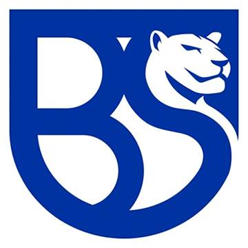 Union Brescia